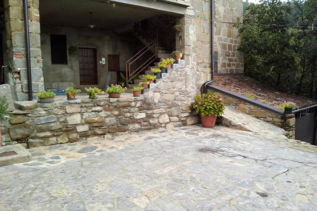 Photo of Others in Sotto il Monte Giovanni XXIII
