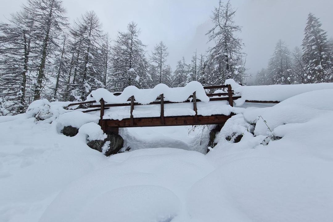 Photo of Others in San Martino