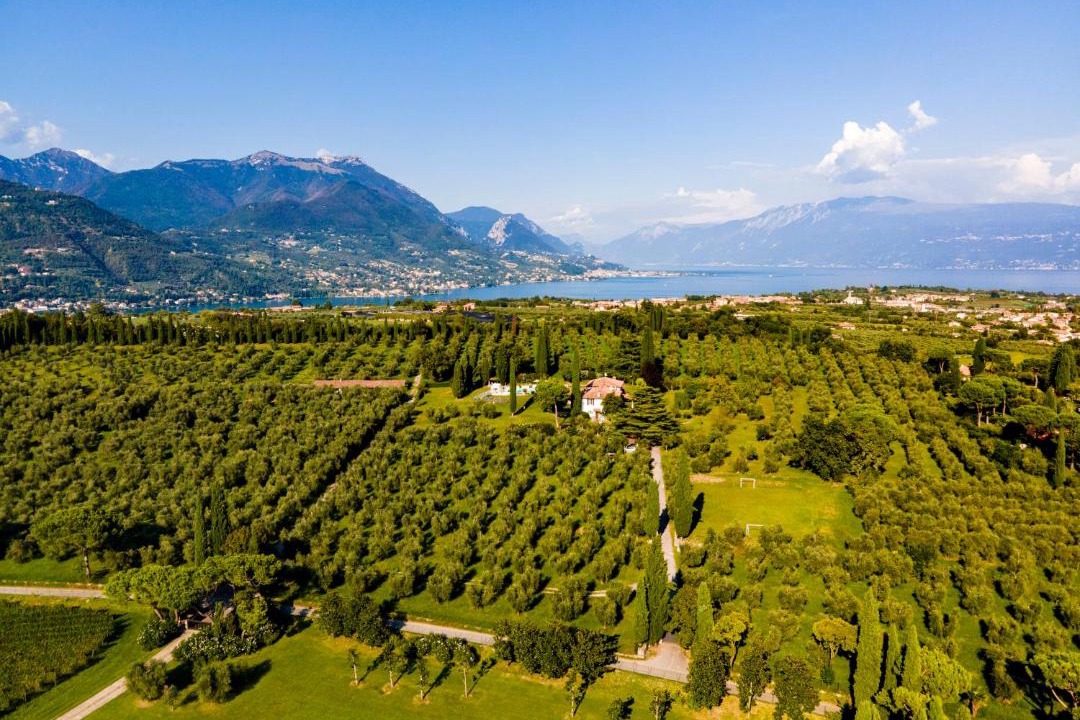 Photo of Others in Puegnago del Garda