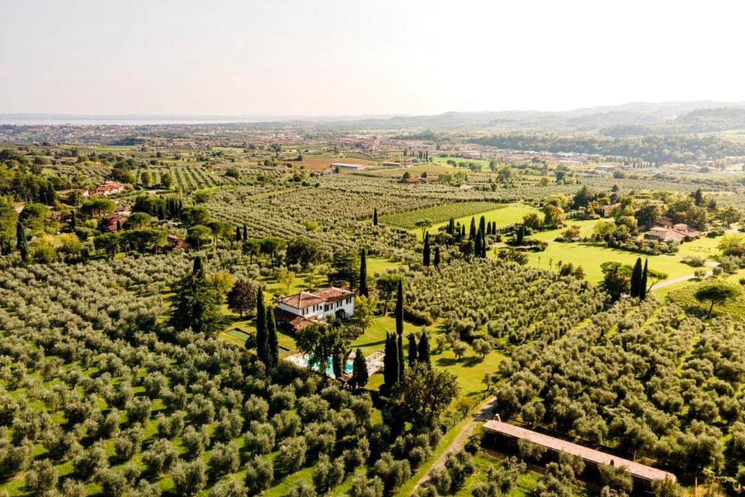 Photo of Others in Puegnago del Garda