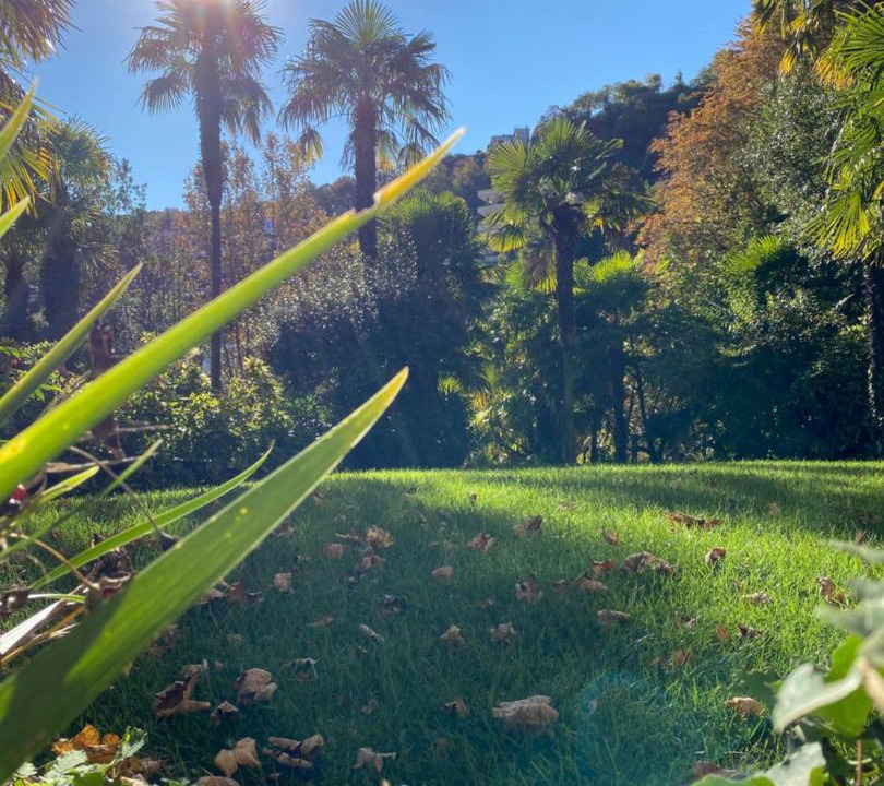 Photo of Outdoor in Como