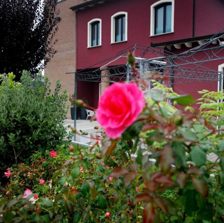 Photo of Others in Casalmaggiore