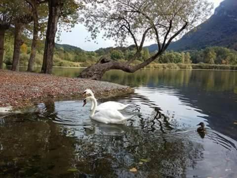 Photo of Outdoor in Carlazzo