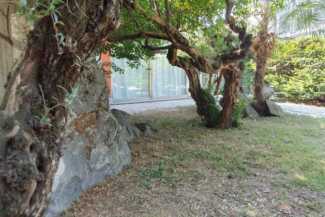 Photo of Others in Santo Stefano Ticino