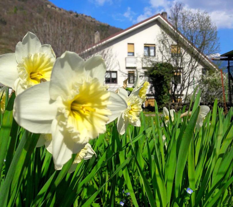 Photo of Others in Madonna di Tirano