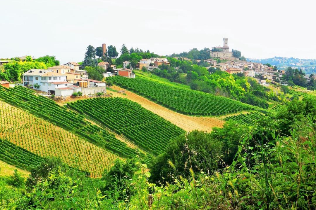 Photo of Others in Rivanazzano