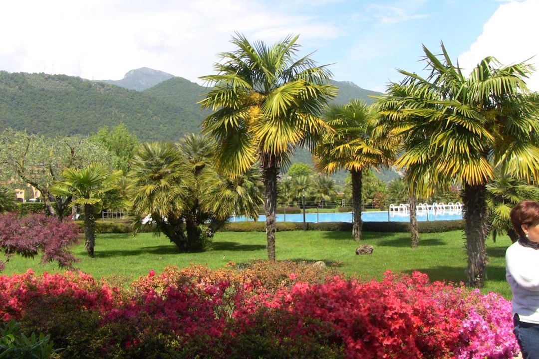 Photo of Outdoor in Paratico