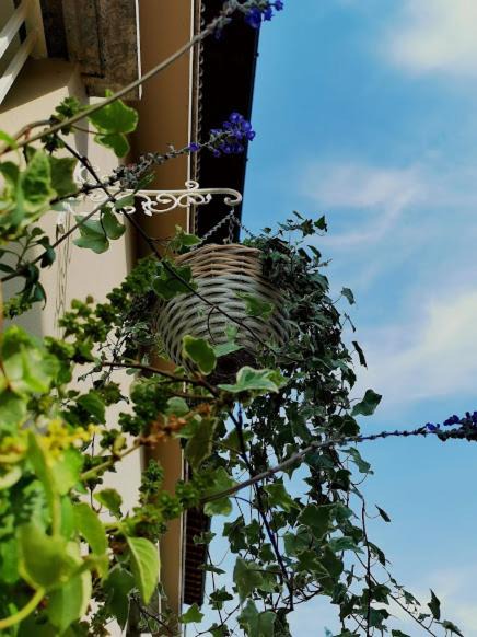 Photo of Patio Balcony in Clusane