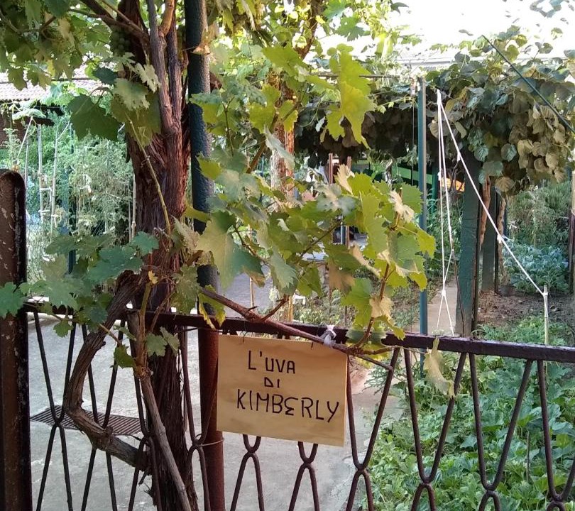 Photo of Patio Balcony in Pavia