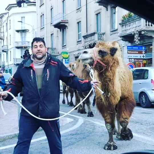 Photo of Others in Bellano