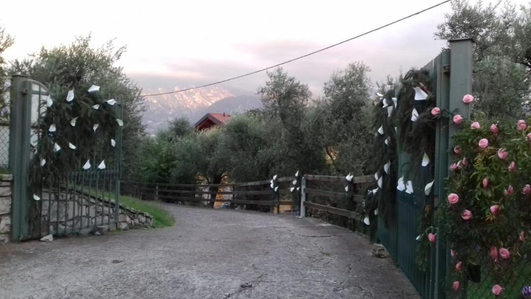 Photo of Others in Tavernola