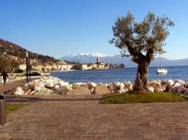 Photo of Others in Cunettone-villa