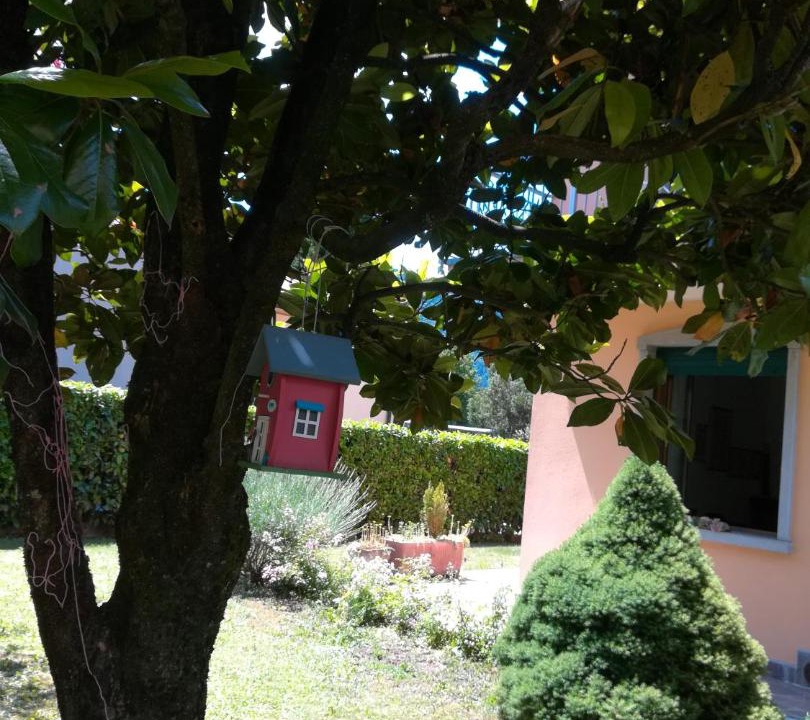 Photo of Others in Cerete Alto