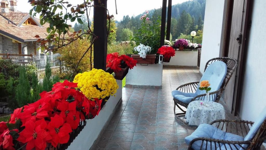 Photo of Patio Balcony in Borno
