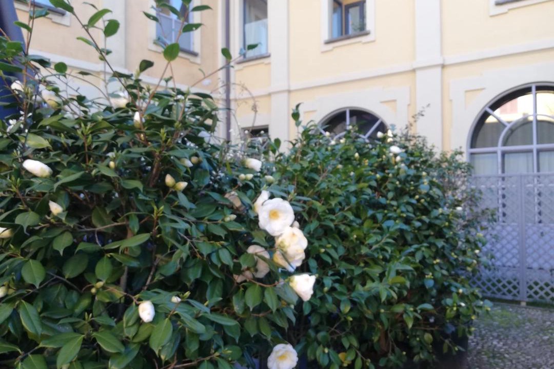 Photo of Others in Seregno