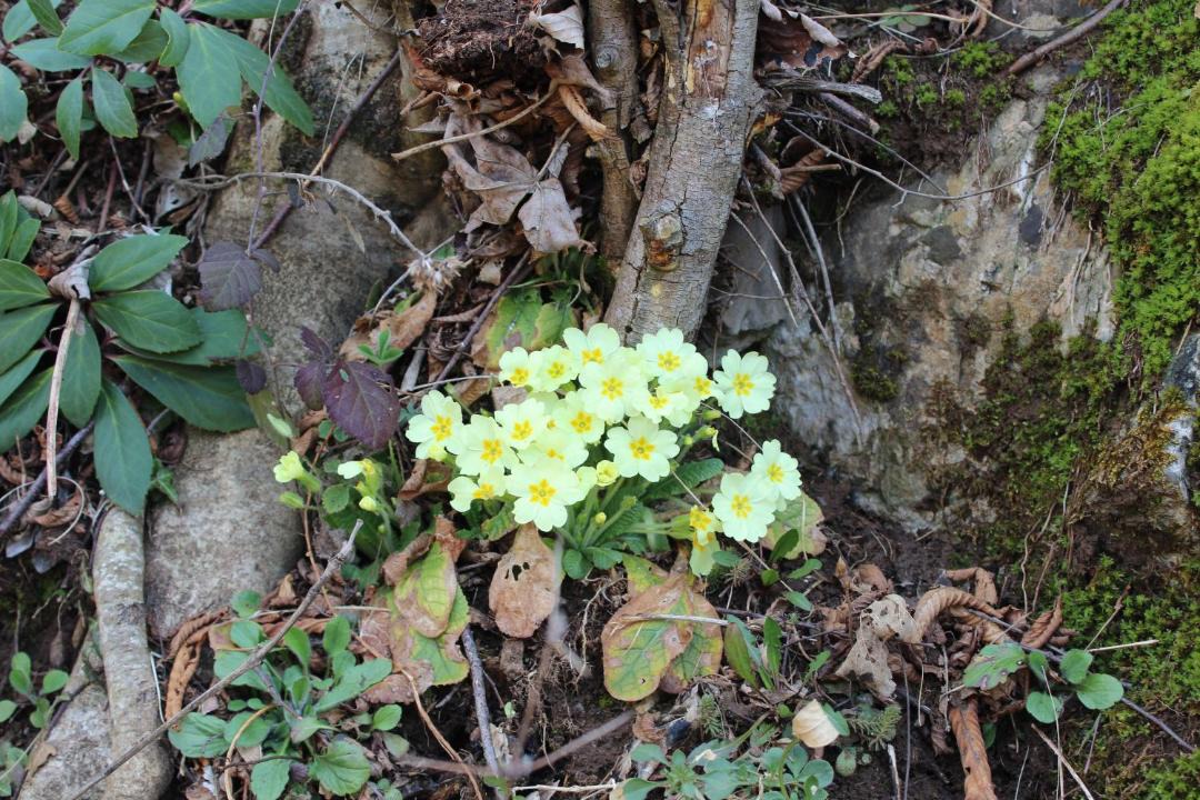 Photo of Outdoor in San Pellegrino Terme