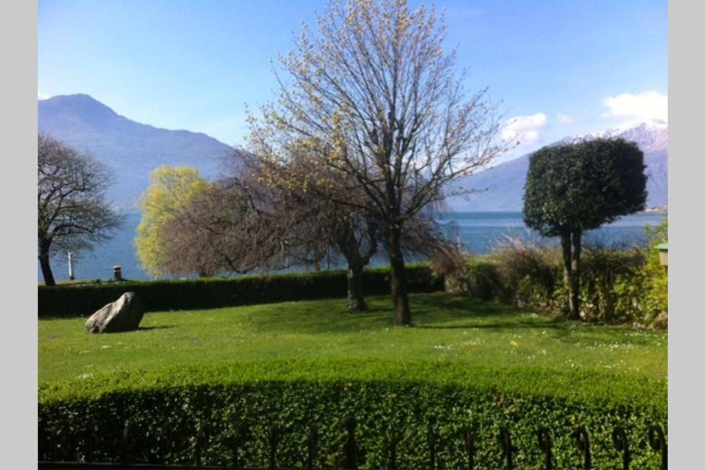 Photo of Others in Gera Lario