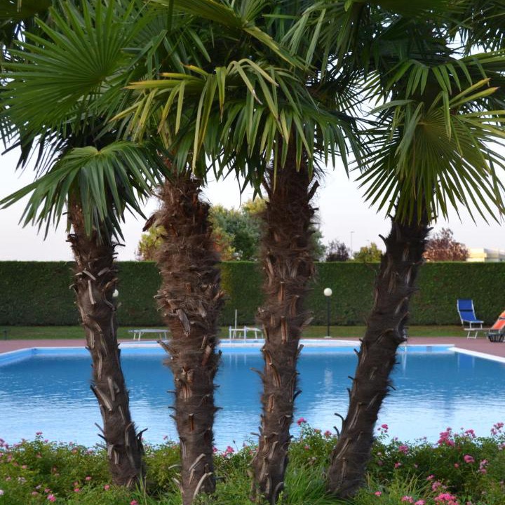 Photo of Outdoor in Desenzano del Garda