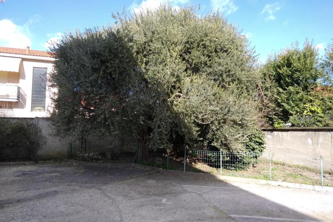 Photo of Others in Vigevano