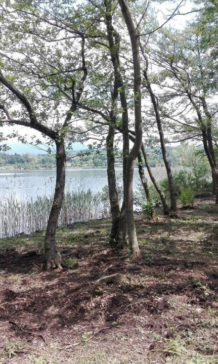 Photo of Others in Osmate
