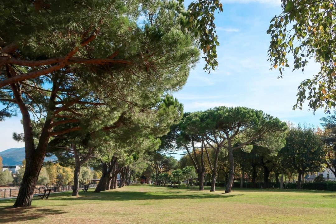 Photo of Outdoor in Euroville