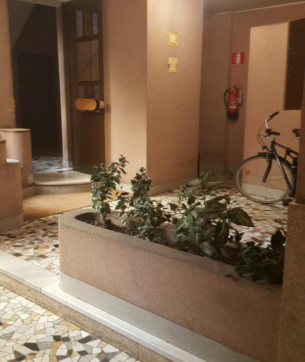 Photo of Others in Centro Storico