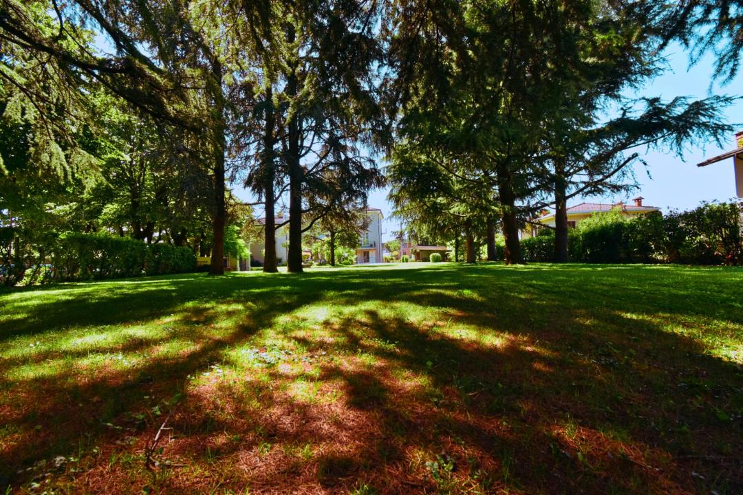 Photo of Others in Lonato del Garda