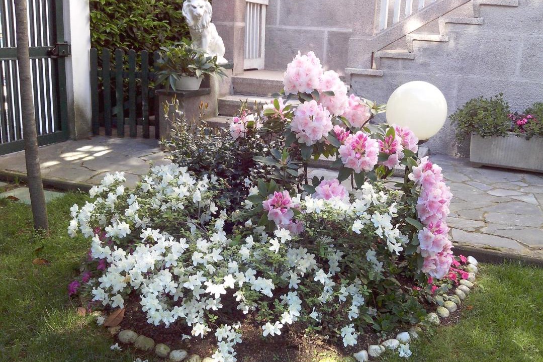 Photo of Others in Gallarate