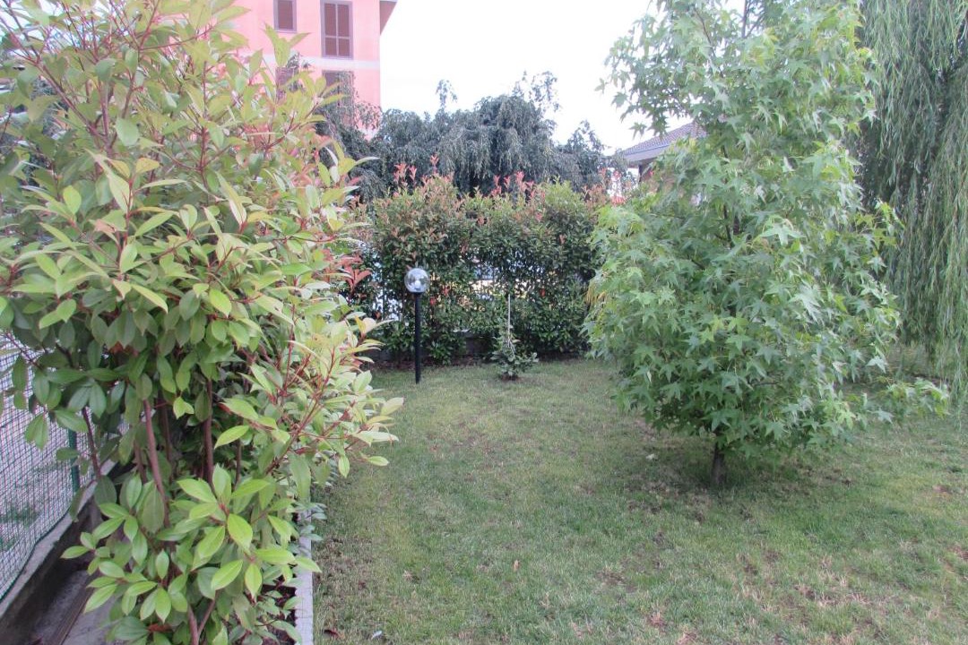 Photo of Others in Busto Arsizio
