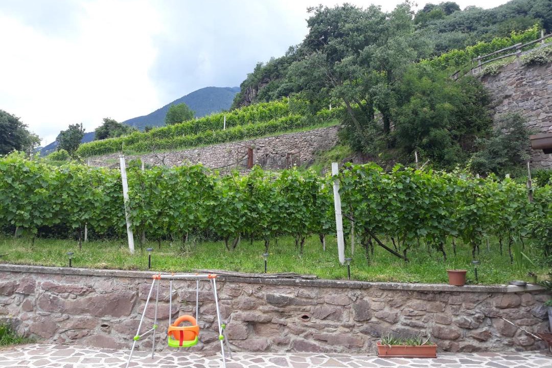 Photo of Others in Darfo Boario Terme