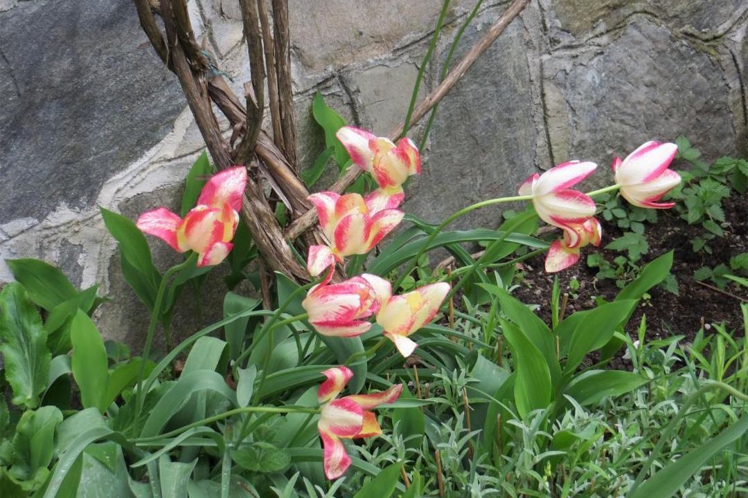 Photo of Outdoor in Margno