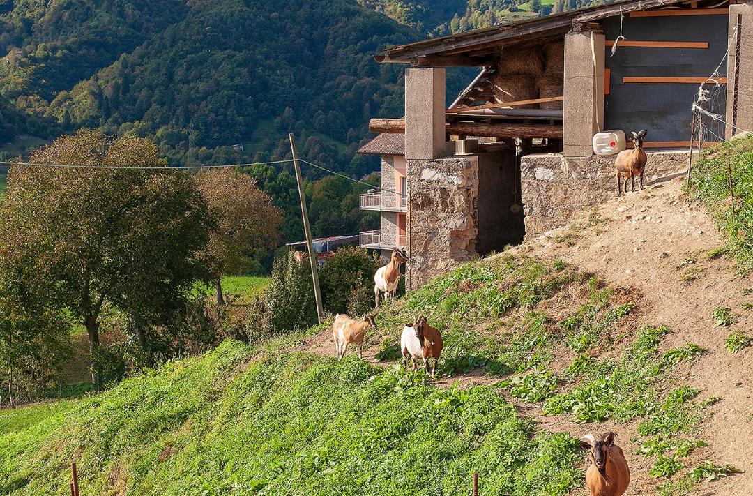 Photo of Others in San Giovanni Bianco