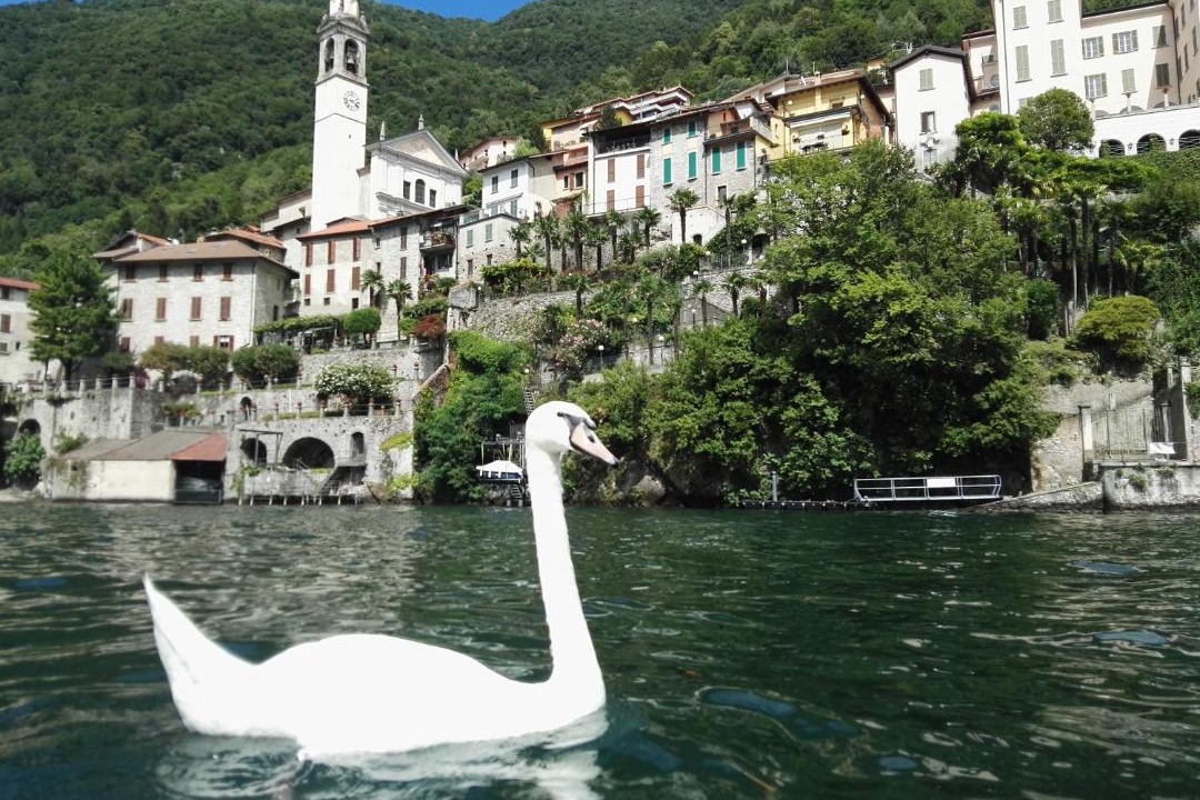 Photo of Others in Nesso