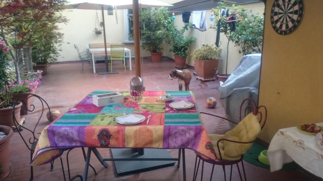 Photo of Patio Balcony in Tricolore