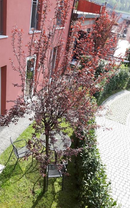Photo of Others in Maslianico
