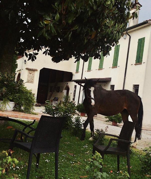 Photo of Others in San Giorgio di Mantova