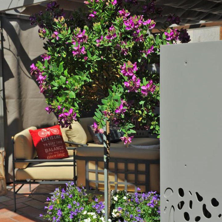Photo of Others in Limone sul Garda