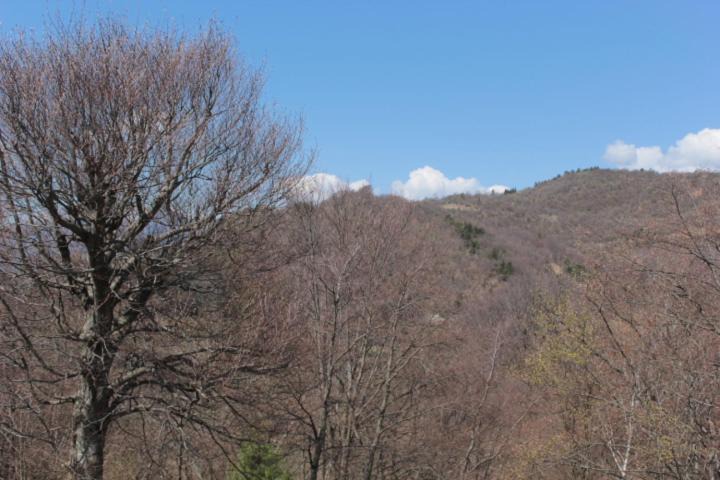 Photo of Others in Ortanella