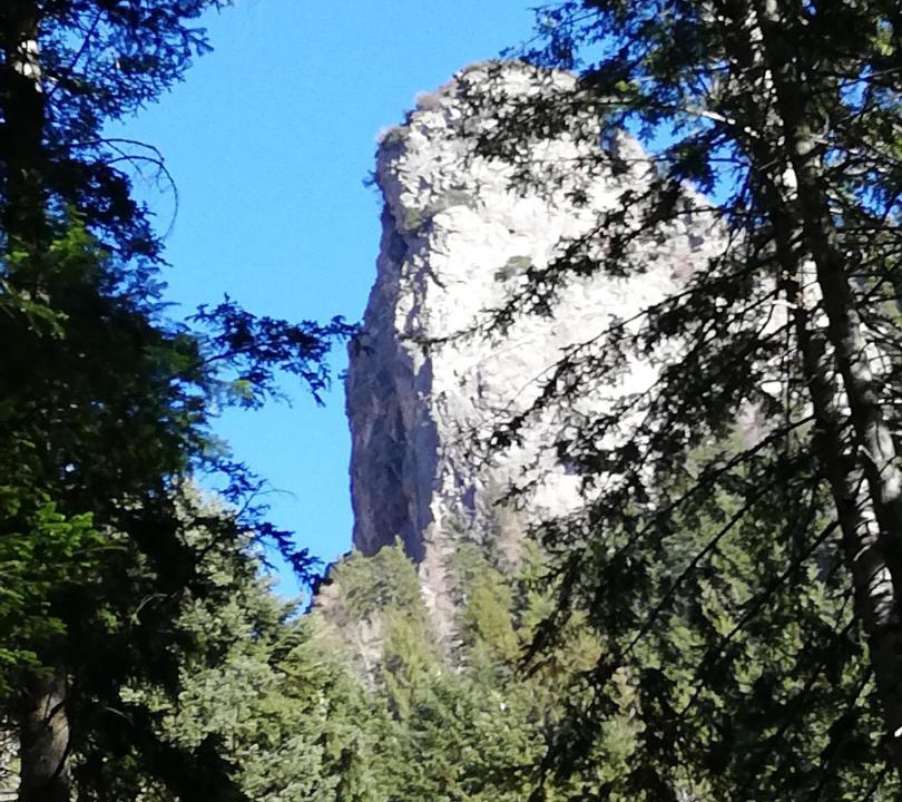 Photo of Others in Averara