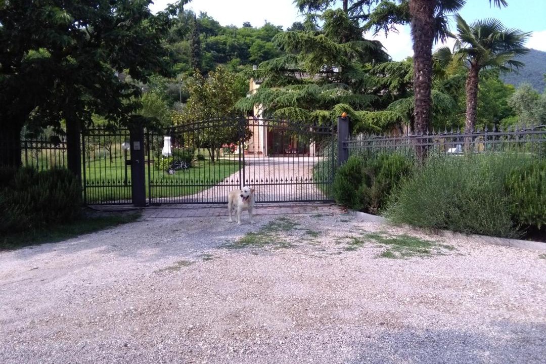 Photo of Others in Roe Volciano