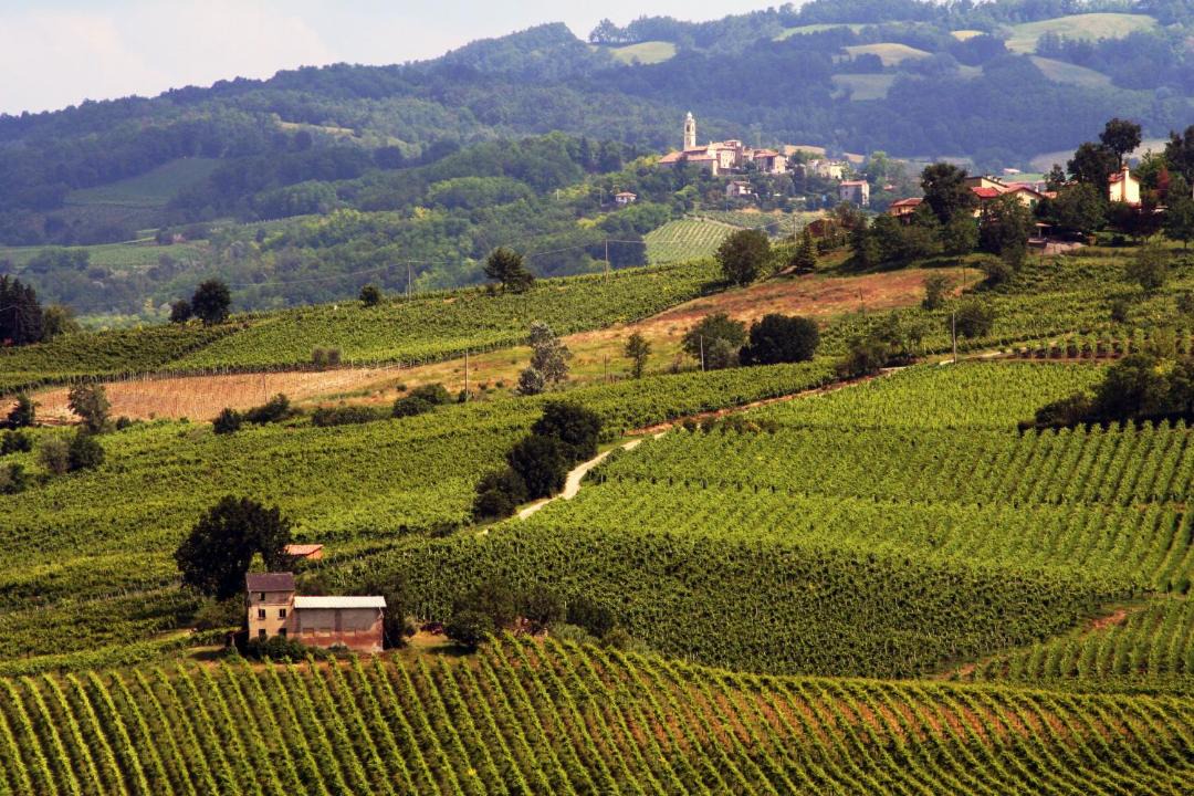 Photo of Outdoor in Montecalvo Versiggia