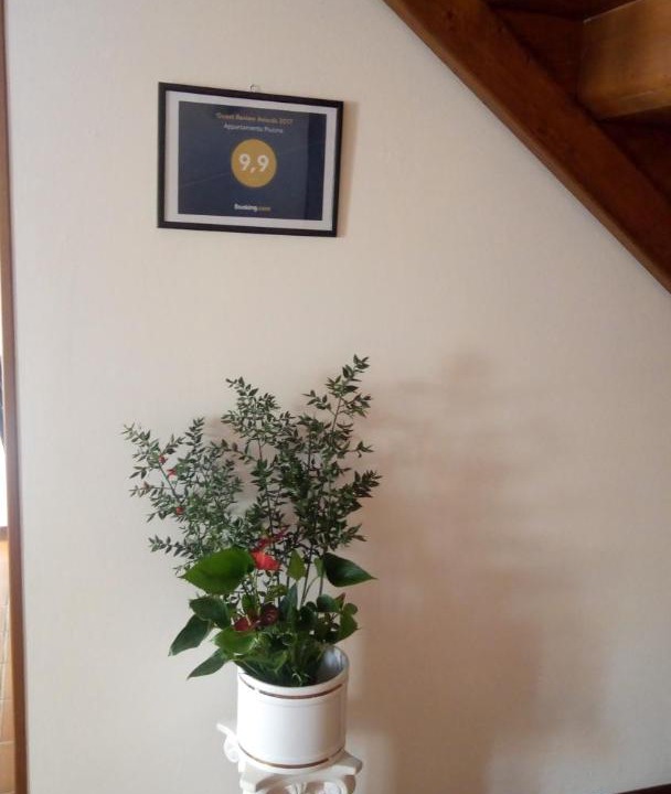 Photo of Others in Iseo