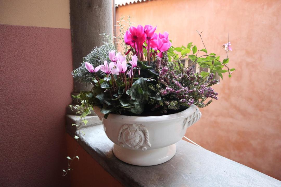 Photo of Bathroom in Citta Alta