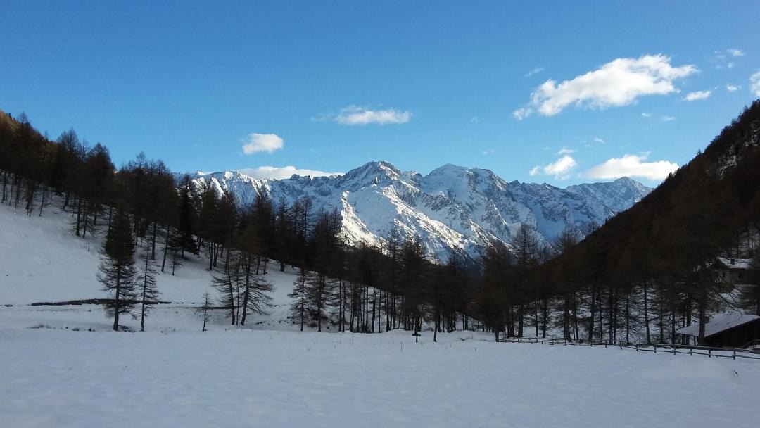 Photo of Others in Vione
