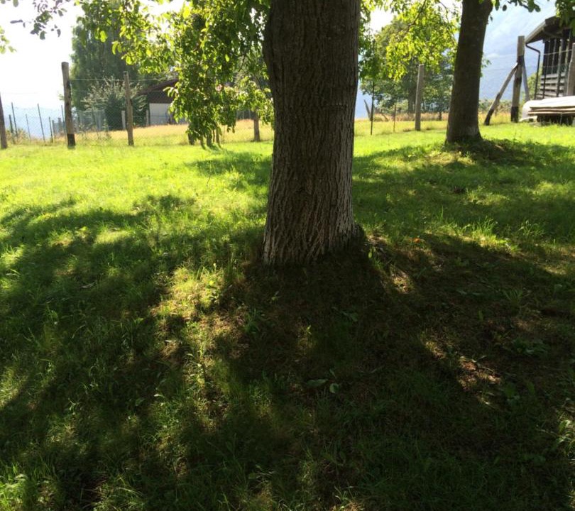 Photo of Outdoor in Vercana
