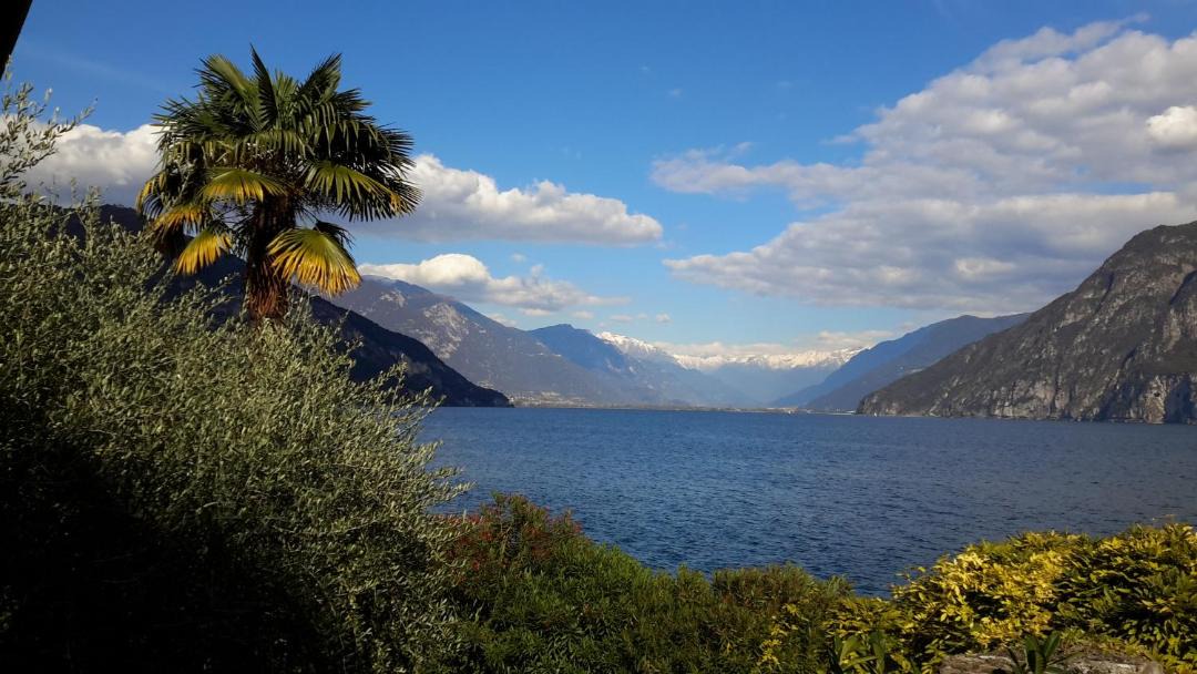 Photo of Others in Riva di Solto