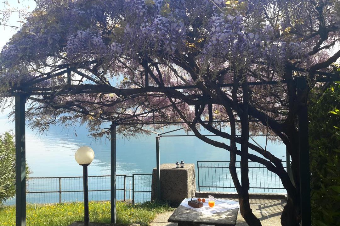 Photo of Others in Riva di Solto
