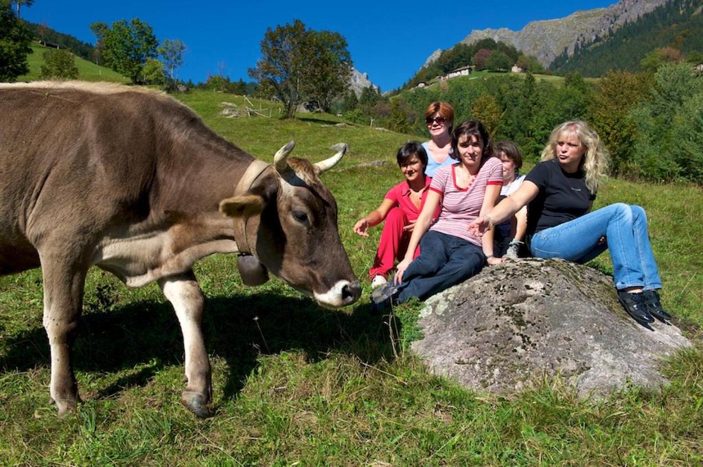Photo of Others in Ornica