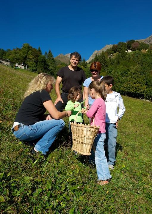 Photo of Others in Ornica