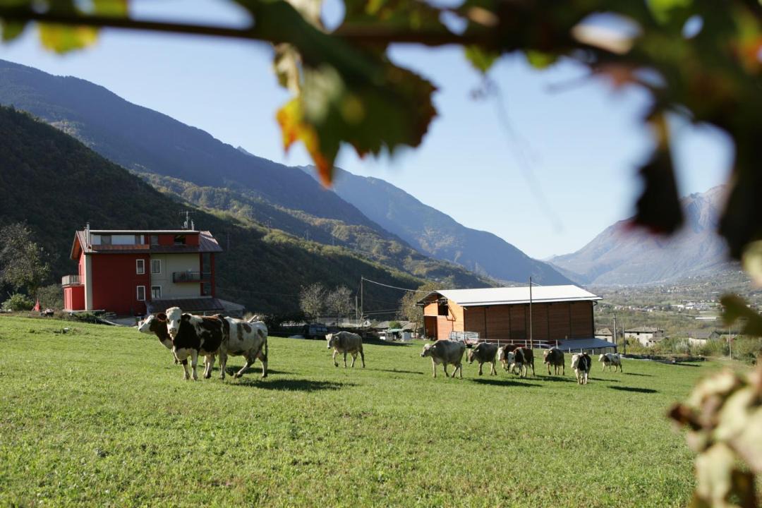 Photo of Others in Albosaggia